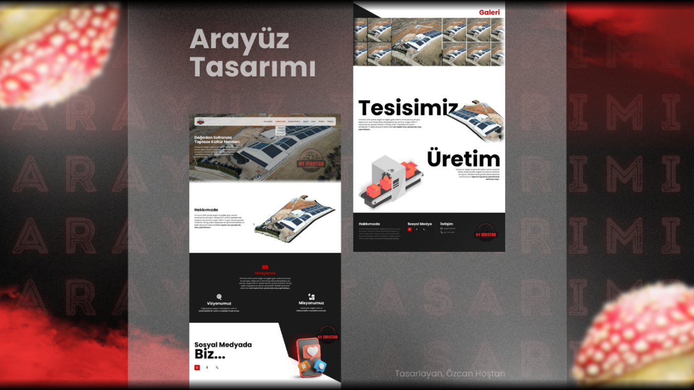 Hy Mantar arayüz tasarımı